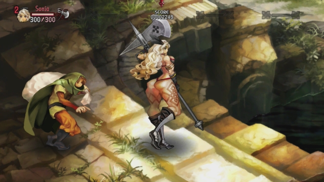 Dragon's Crown asset