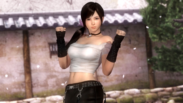 Dead or Alive 5 Ultimate (PlayStation 3) image