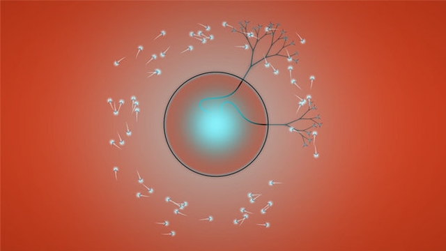 Eufloria (PlayStation 3) image