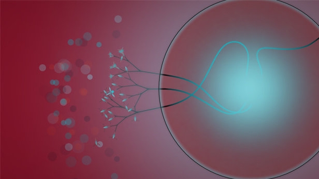 Eufloria (PlayStation 3) image