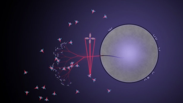 Eufloria (PlayStation 3) image