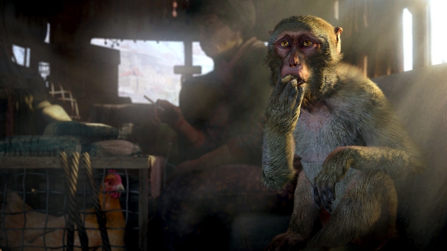 Far Cry 4 (PlayStation 3) image