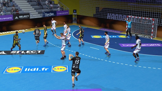 Handball 17 (PlayStation 3) image