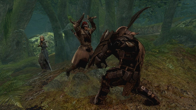 The Lord of the Rings: War in the North (PlayStation 3) image