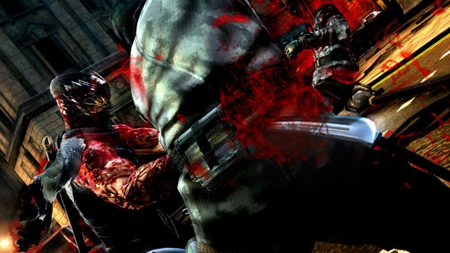 Ninja Gaiden 3 (PlayStation 3) image