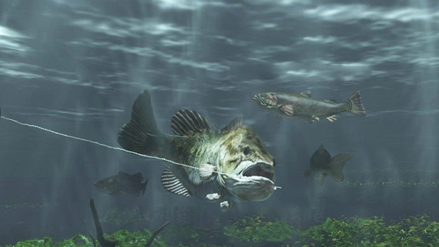 Rapala Fishing Frenzy 2009 (PlayStation 3) image