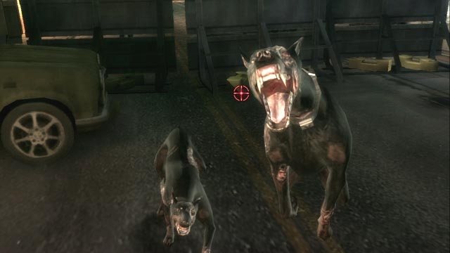 Resident Evil: The Darkside Chronicles (PlayStation 3) image