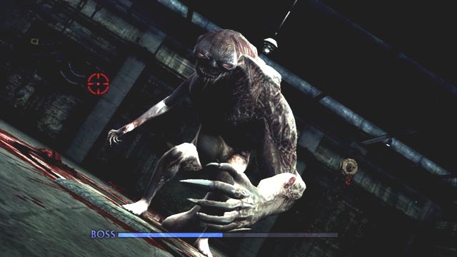 Resident Evil: The Darkside Chronicles (PlayStation 3) image