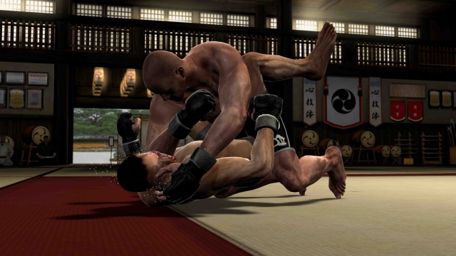 Supremacy MMA: Unrestricted (PlayStation 3) image