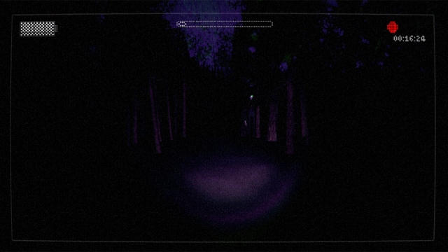 Slender: The Arrival (PlayStation 3) image