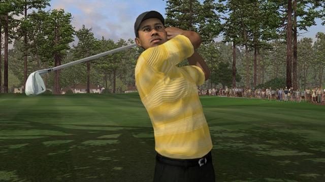 Tiger Woods PGA Tour 07 (PlayStation 3) image