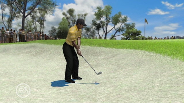 Tiger Woods PGA Tour 08 (PlayStation 3) image