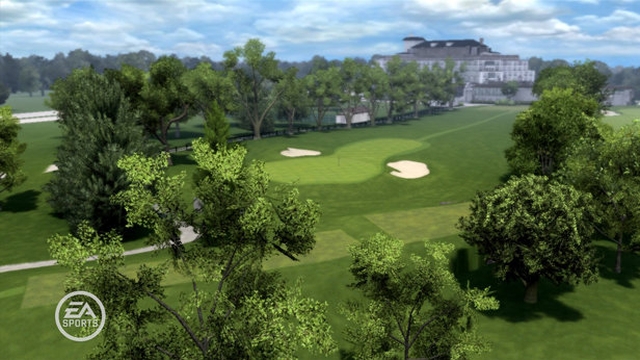 Tiger Woods PGA Tour 08 (PlayStation 3) image