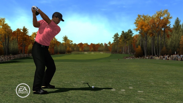 Tiger Woods PGA Tour 08 (PlayStation 3) image