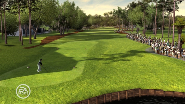 Tiger Woods PGA Tour 08 (PlayStation 3) image
