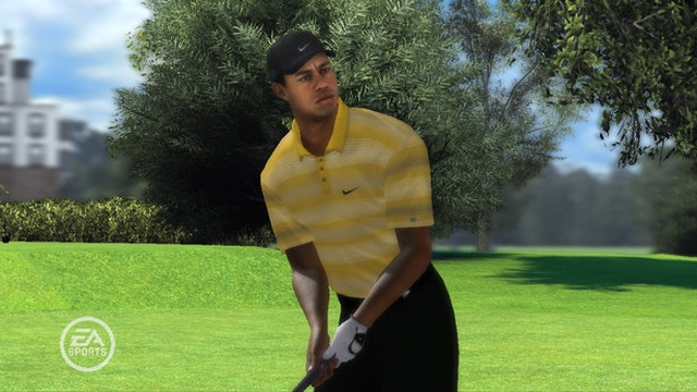 Tiger Woods PGA Tour 08 (PlayStation 3) image