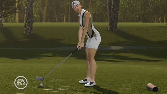 Tiger Woods PGA Tour 09 (PlayStation 3) image