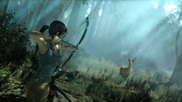 Tomb Raider (PlayStation 3) image