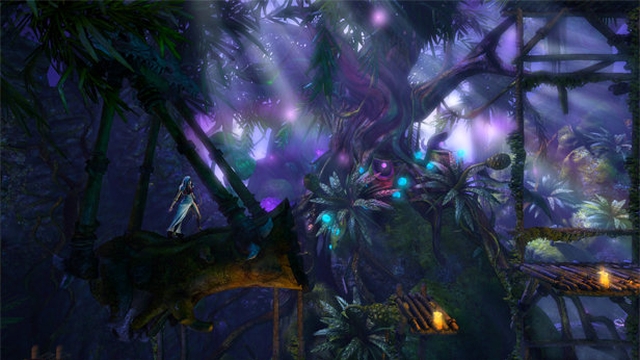 Trine 2 (PlayStation 3) image