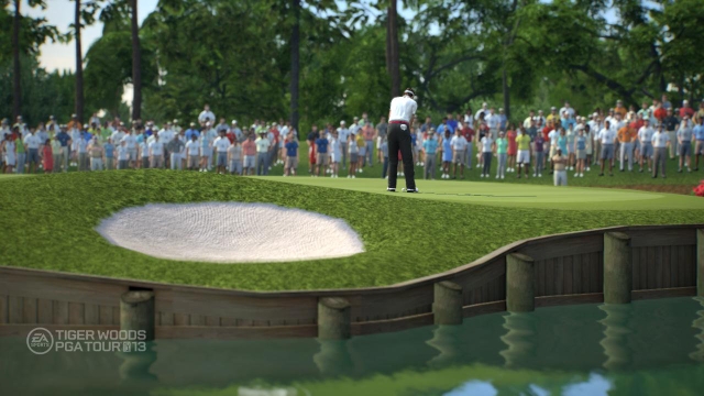 Tiger Woods PGA Tour 13 (PlayStation 3) image