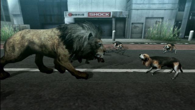 Tokyo Jungle (PlayStation 3) image