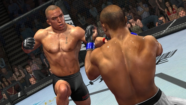 UFC Undisputed 2009 (PlayStation 3) image