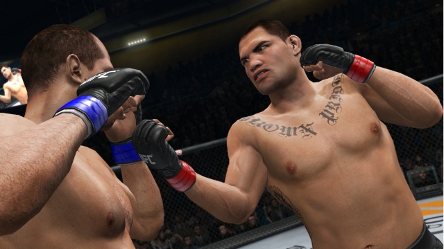 UFC Undisputed 3 (PlayStation 3) image