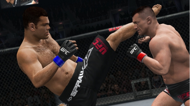 UFC Undisputed 3 (PlayStation 3) image