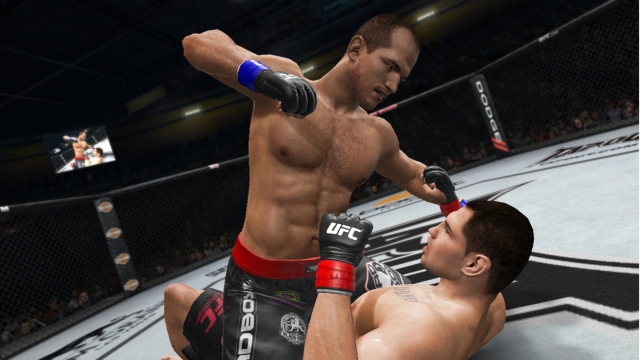 UFC Undisputed 3 (PlayStation 3) image