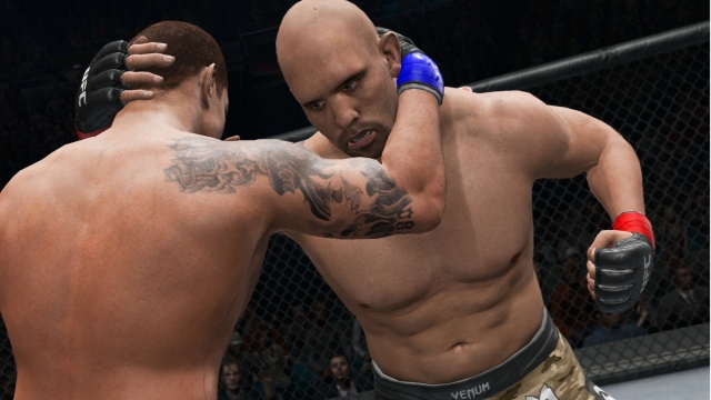 UFC Undisputed 3 (PlayStation 3) image