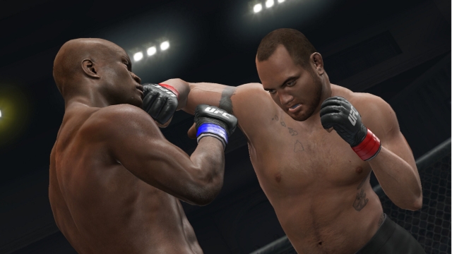 UFC Undisputed 3 (PlayStation 3) image