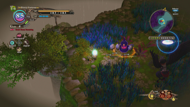 The Witch and the Hundred Knight (PlayStation 3) image