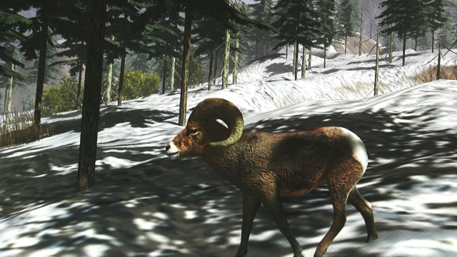World Hunter (PlayStation 3) image