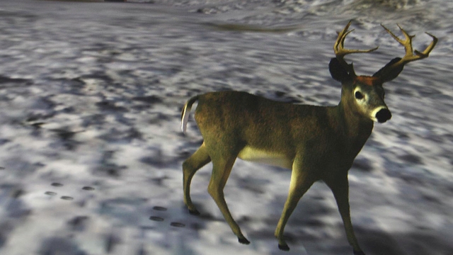 World Hunter (PlayStation 3) image