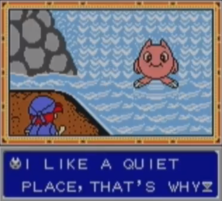 Qix Adventure (Game Boy Color) image