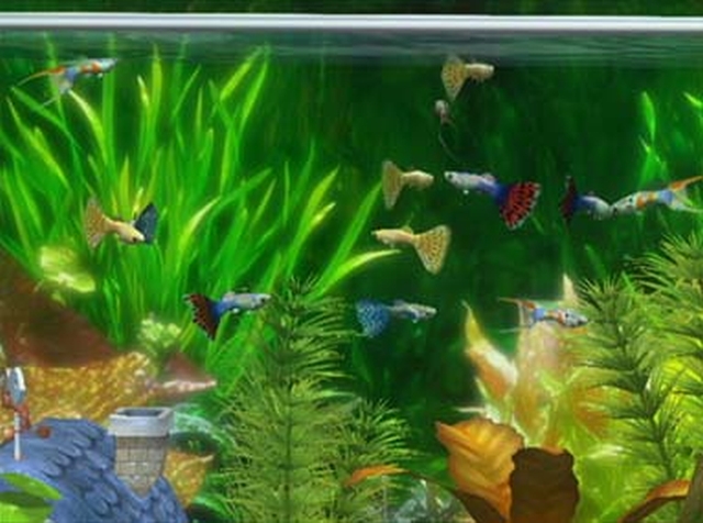 AquaSpace (Wii) image