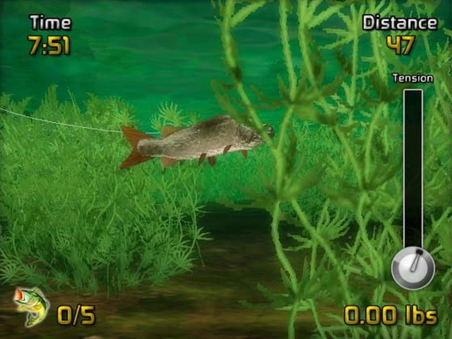 Big Bass Arcade (Wii) image
