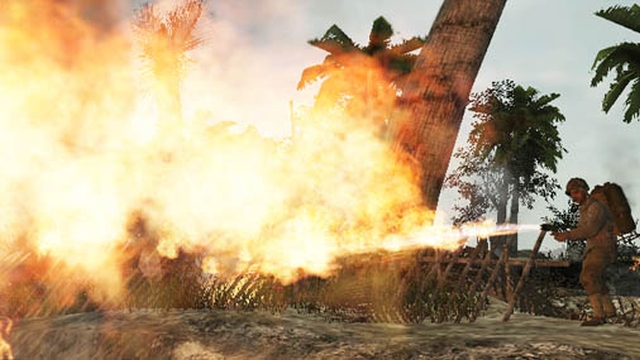 Call of Duty: World at War (Wii) image