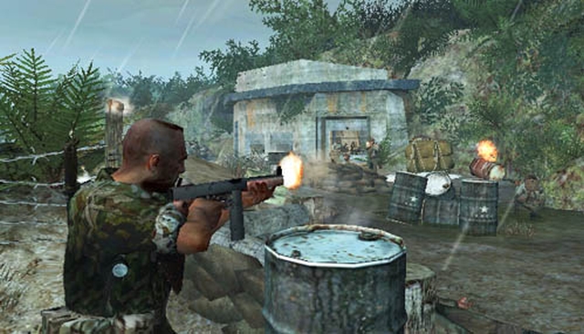 Call of Duty: World at War (Wii) image
