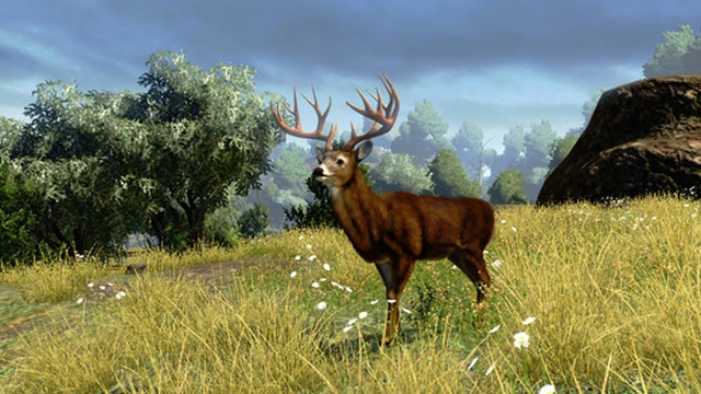Cabela's Outdoor Adventures (Wii) image