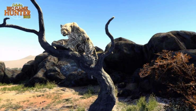 Cabela's Big Game Hunter 2012 (Wii) image