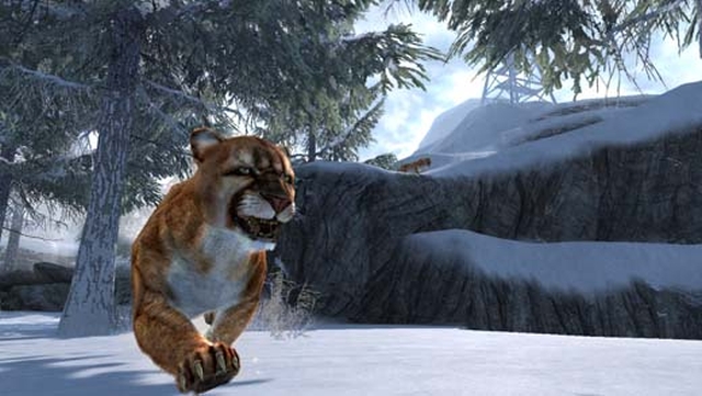 Cabela's Dangerous Hunts 2013 (Wii) image