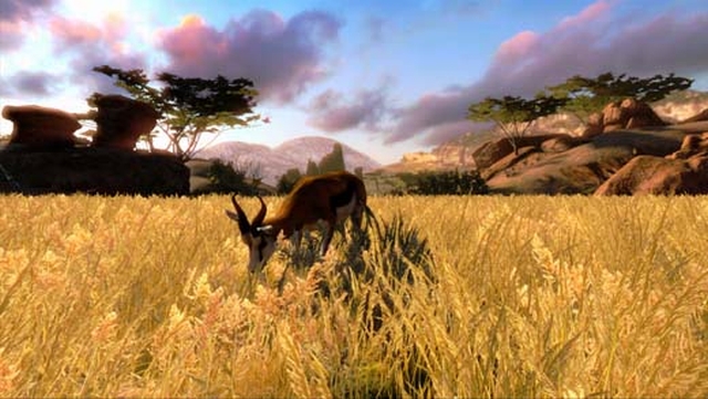 Cabela's Hunting Expeditions (Wii) image