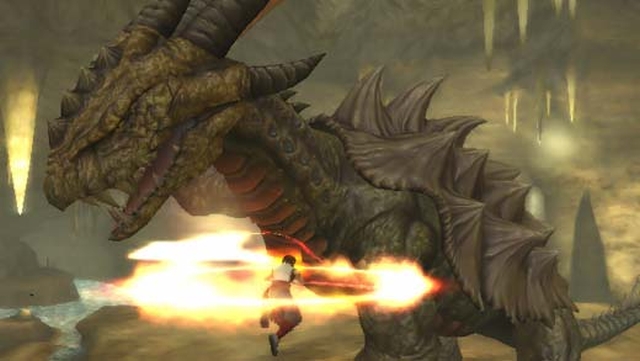 Dragon Blade: Wrath of Fire (Wii) image