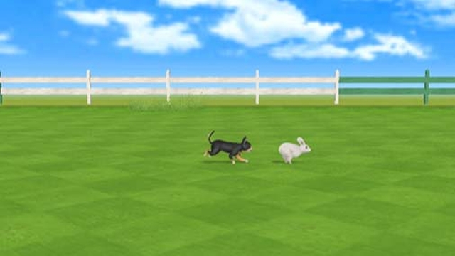 Derby Dogs (Wii) image