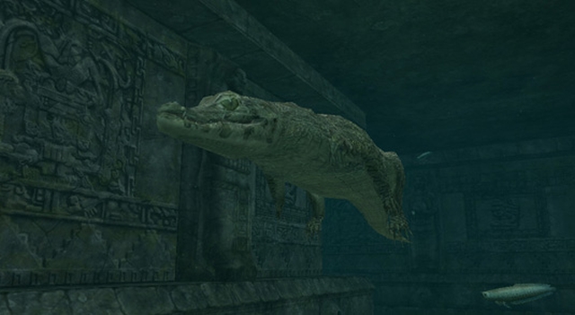 Endless Ocean: Blue World (Wii) image