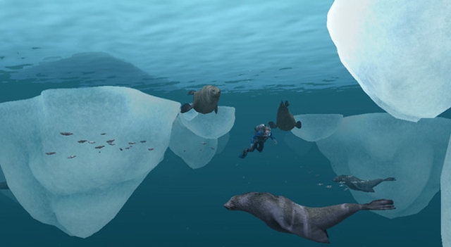 Endless Ocean: Blue World (Wii) image