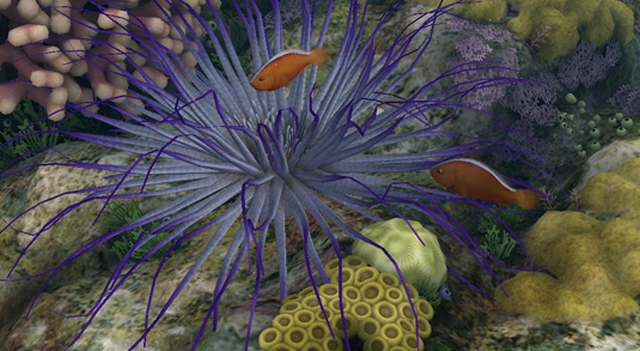 Endless Ocean: Blue World (Wii) image