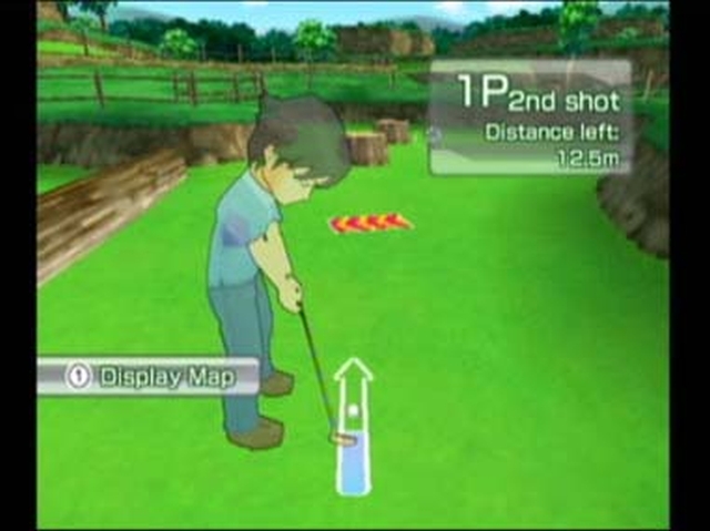 Family Mini Golf (Wii) image