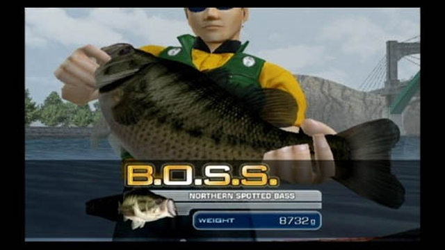Hooked! Real Motion Fishing (Wii) image